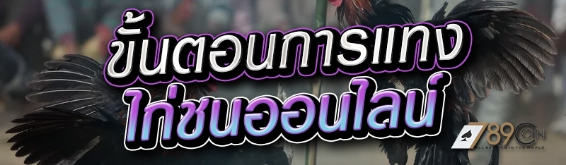 ขั้นตอนการแทงไก่ชนออนไลน์