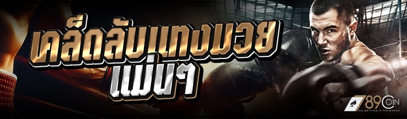 เคล็ดลับแทงมวยแม่นๆ